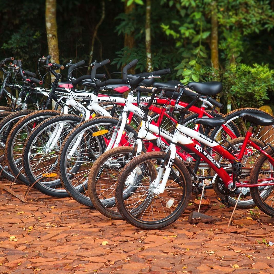 Mountain bikes kept for customers by the wood near DOT Hotels