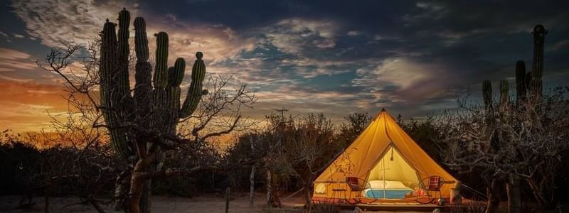 Luxurious glamping tent glowing at sunset in a desert landscape near the Marquis Los Cabos Resort