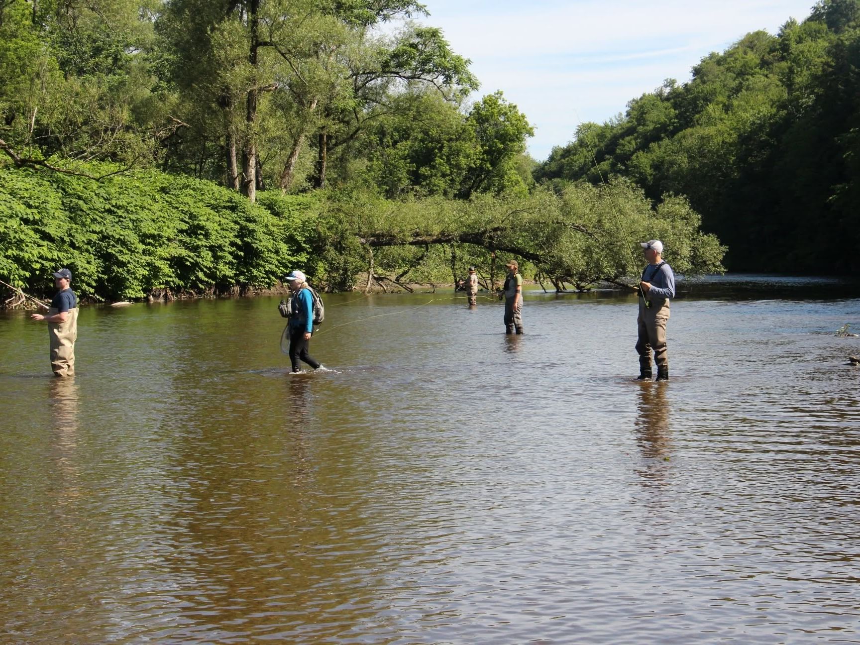 Four anglers fly fishing in a tree-lined river at The Fly Rod Shop