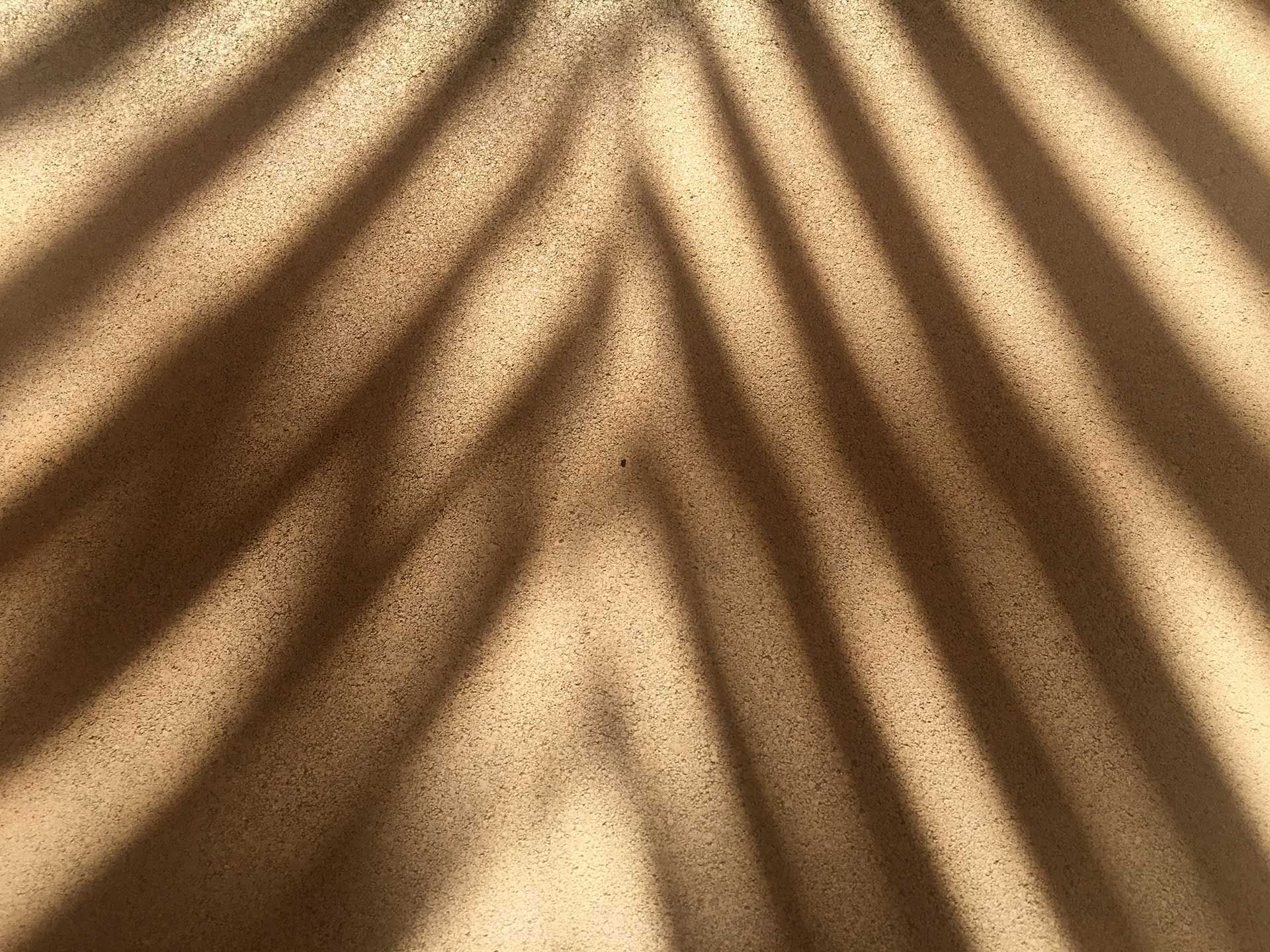 Coconut leaf shadow fallen on a wall at Ifuru Island Maldives