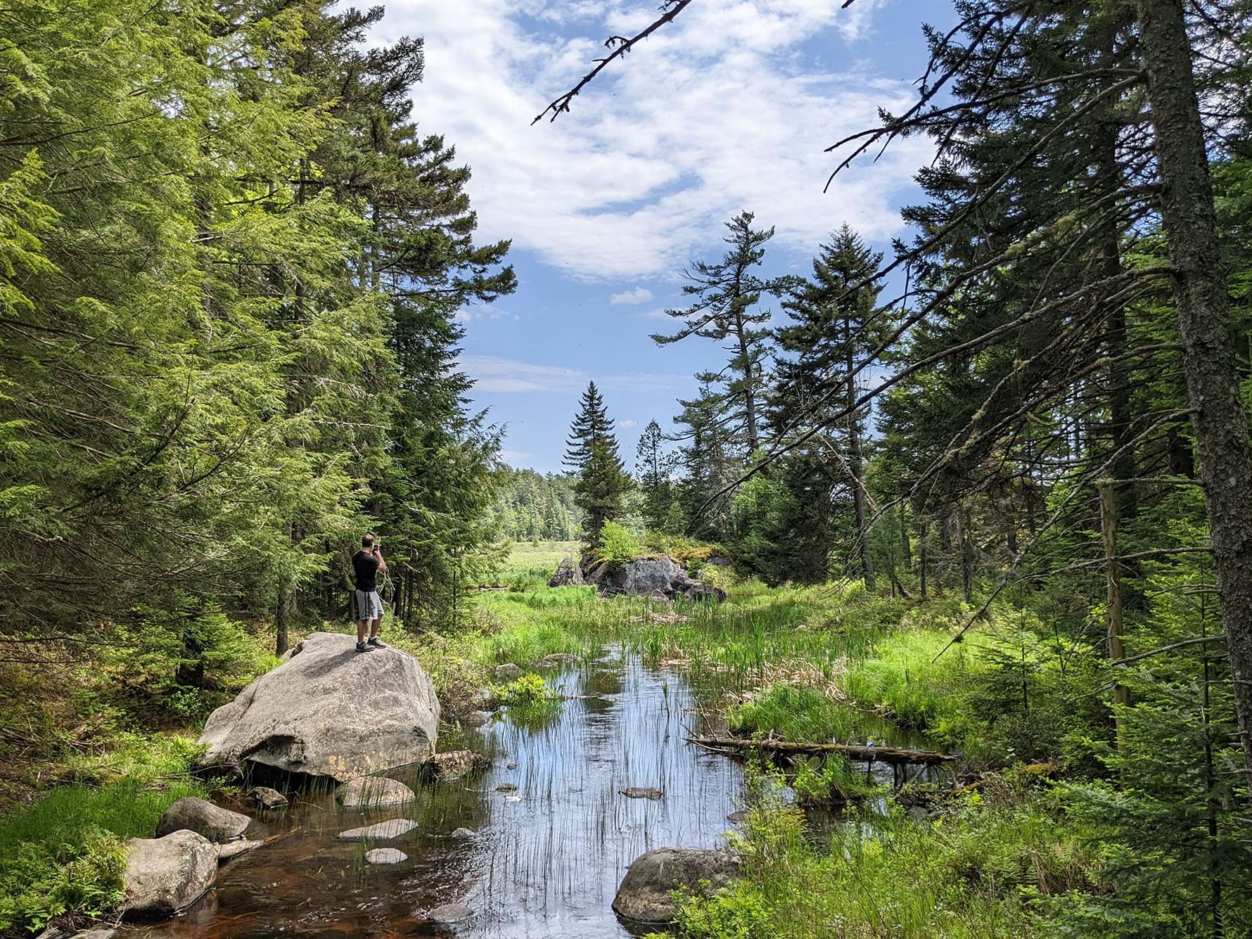 Hiker standing on a rock in a calm stream flowing through a lush green forest near High Peaks Resort
