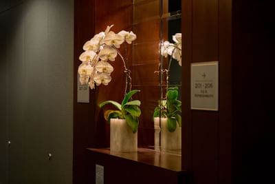 Floral white orchid plant on a wooden panel with hallway signs for hotel room numbers at The St. Regis Hotel Vancouver
