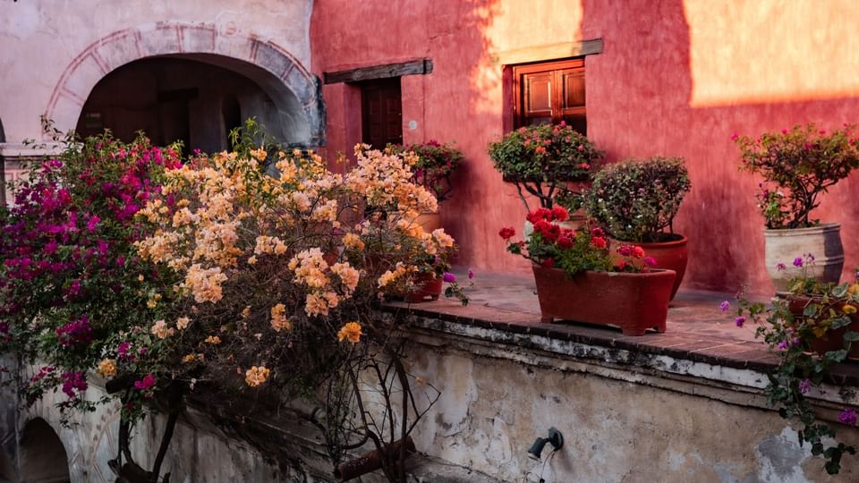 Flores rosadas y naranjas vibrantes en macetas en balcón rústico de hotel en Quinta Real Oaxaca