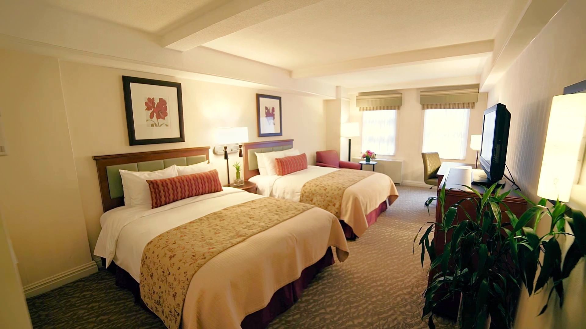 San Carlos Hotel — photo 27 of 28