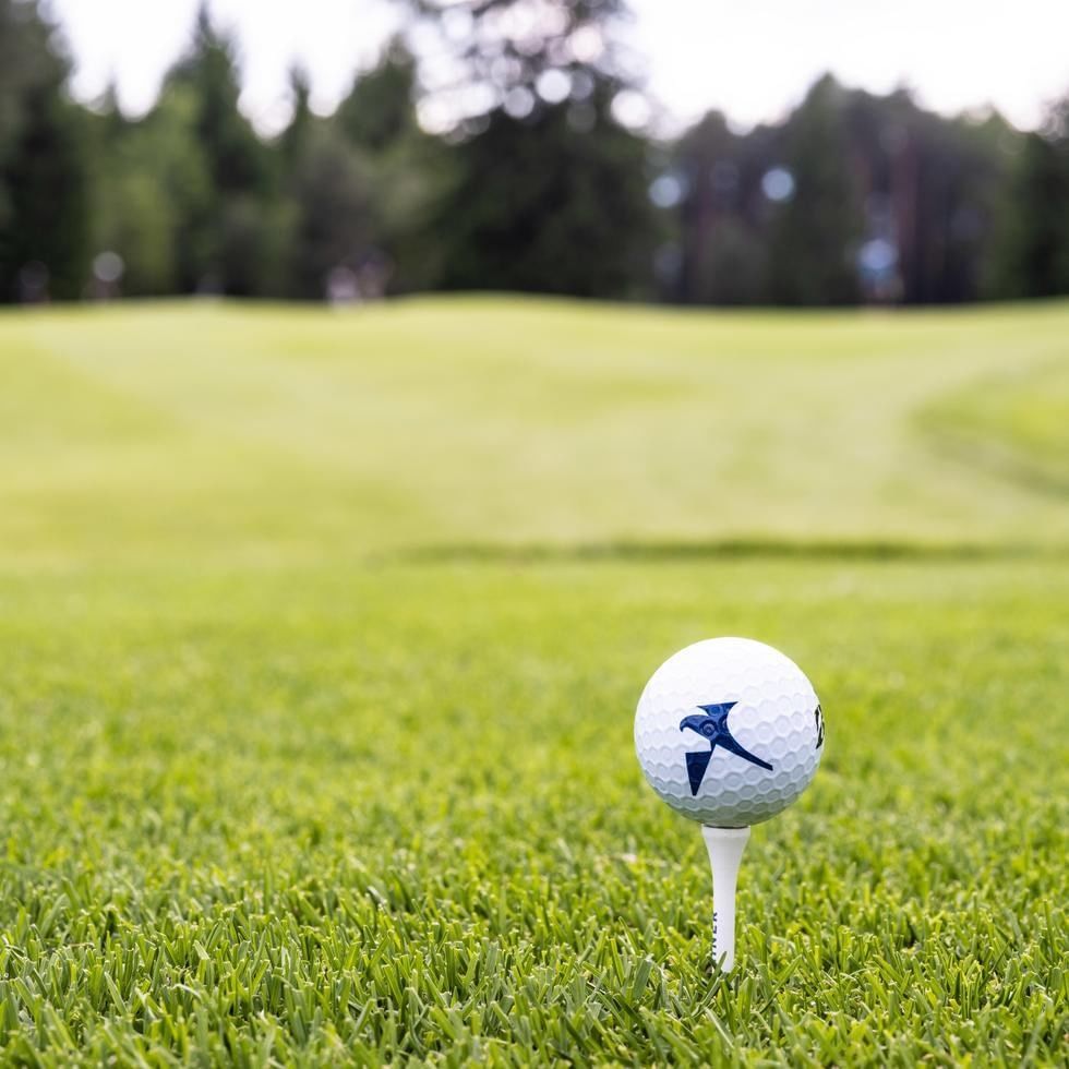 Palla da golf su un tee verde all'aperto per Falkensteiner Jesolo Golf Cup.