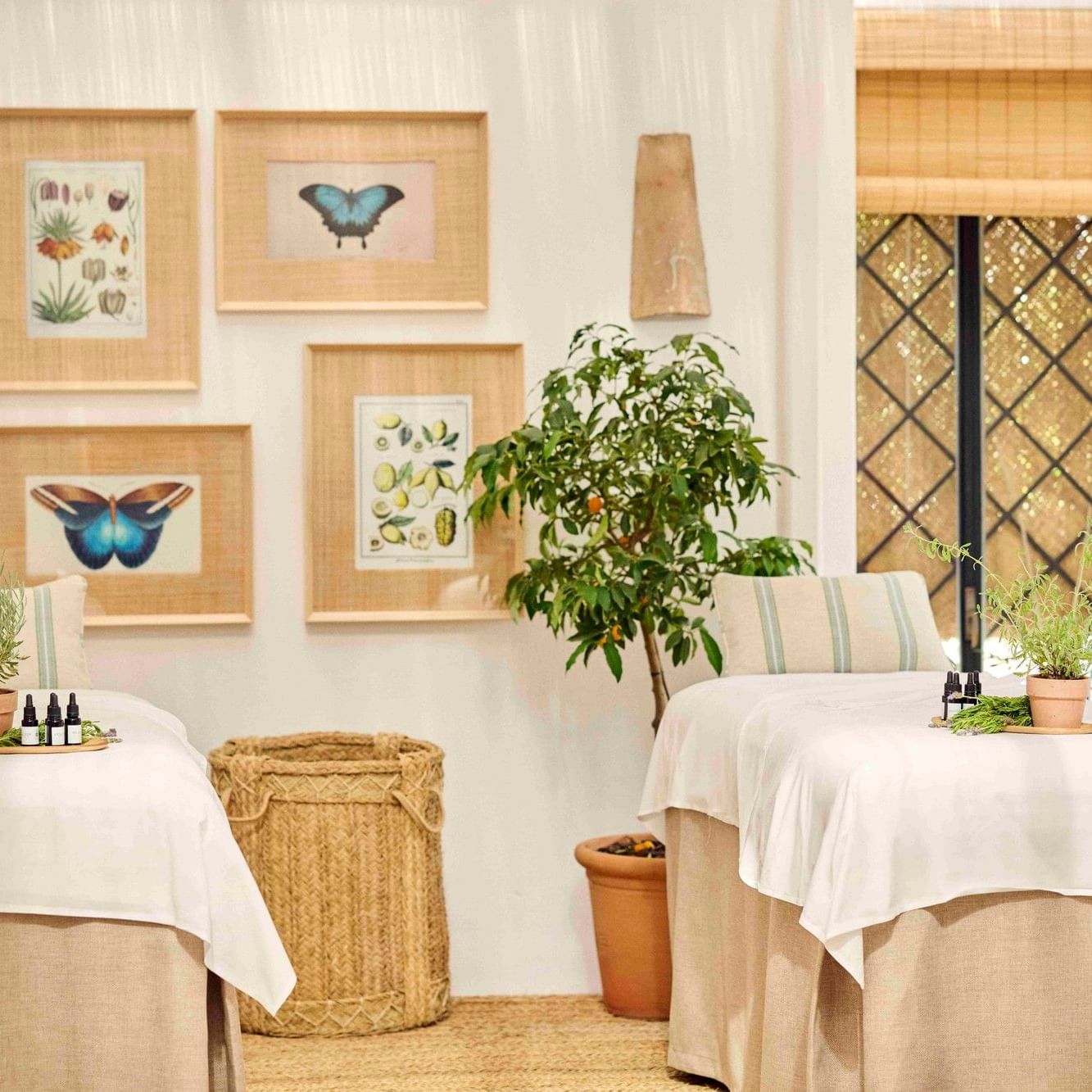 Sala de tratamiento luminosa con decoración natural, cuadros botánicos enmarcados y plantas verdes frescas.