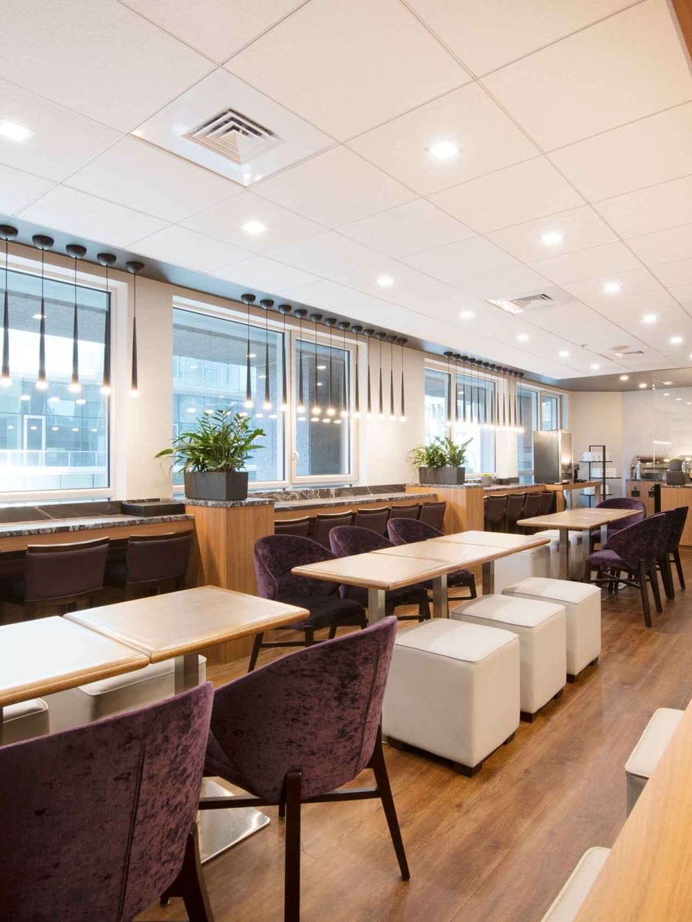 Salon ou espace petit-déjeuner élégant dans les hôtels et complexes Warwick, avec de longues tables communes et des sièges de bar.