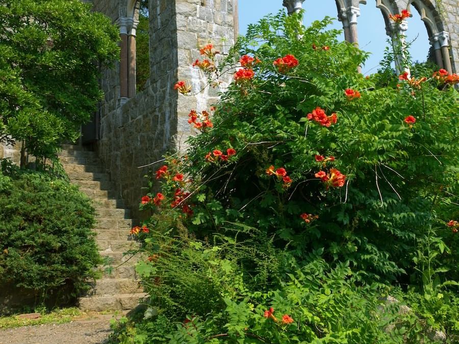 Stairway & garden, Hammond Castle, Beauport Hotel Gloucester