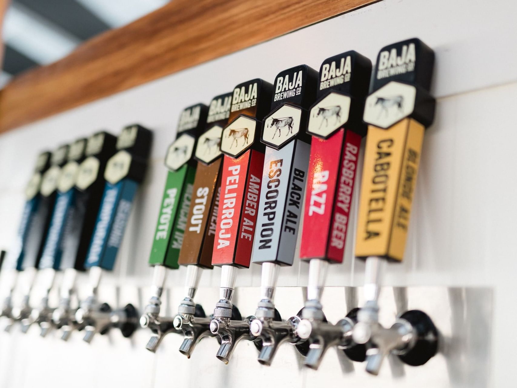 Brewery handles at Baja Brewing in Cabo Villas Beach Resort