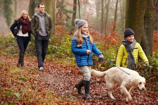 Family walking dog at Alice Holt Forest, a great free place to visit in Surrey