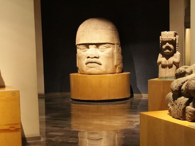National museum of anthropology near Dominion Suites Polanco