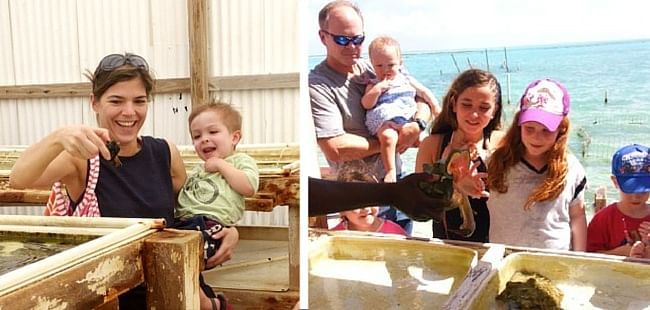 A collage of parents with kids near The Somerset On Grace Bay