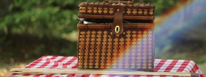 Classic picnic basket on a red and white checkered cloth near Novotel Sydney International Airport