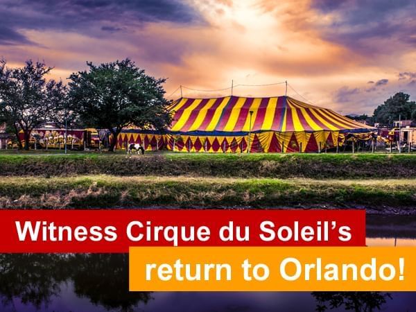 Witness Cirque Du Soleil's Return to Orlando poster used at Lake Buena Vista Resort Village & Spa