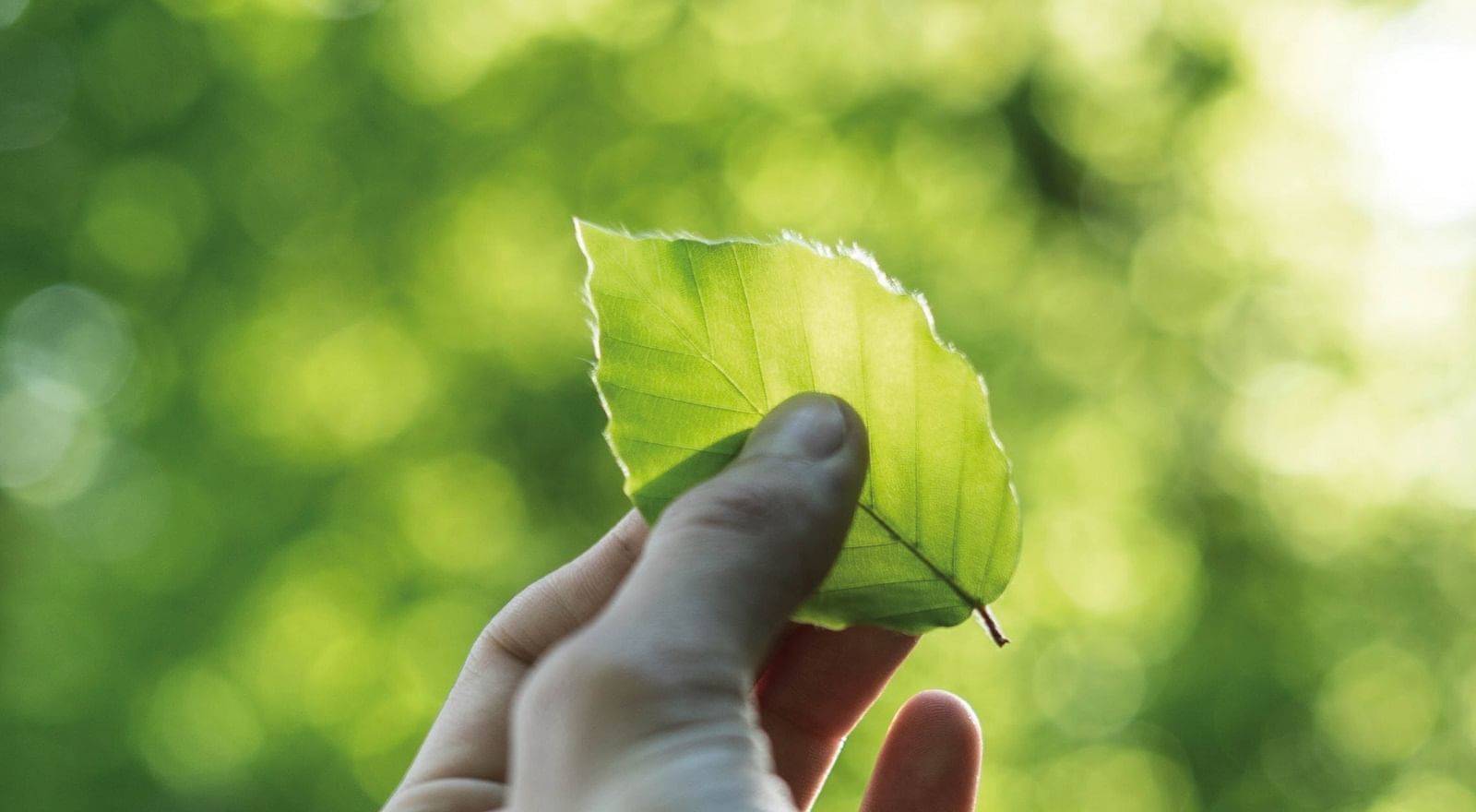 _@@Bensaude Hotels Group@@_