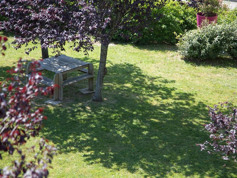 Garden with a bench under a tree at Hotel Limoges North 