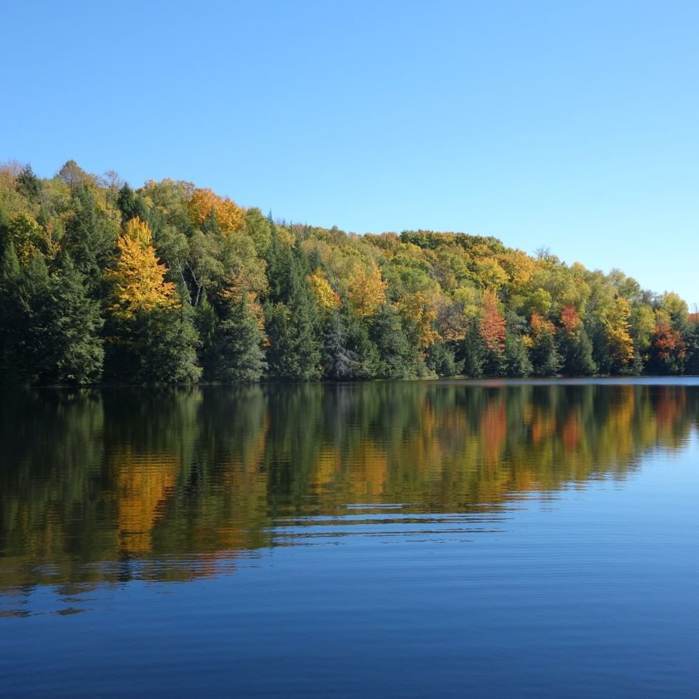 Fuzine lake surrounded by greenery near Falkensteiner Hotels