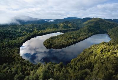 An Aerial View of the Gordon River near the Gordon River Cruise