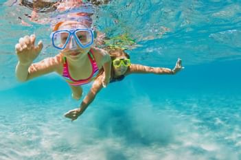 An image for snorkeling