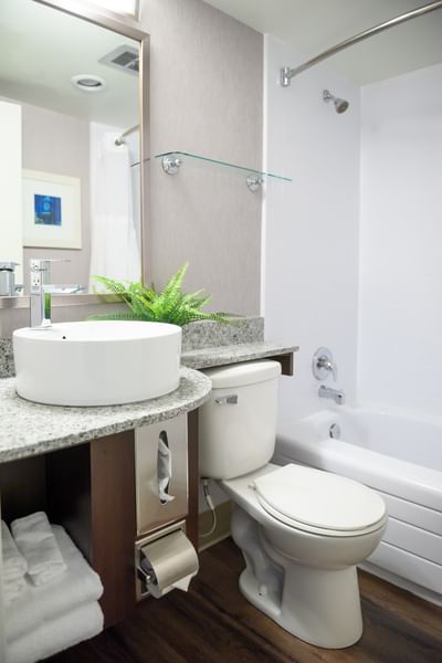 Modern bathroom featuring a white vessel sink, toilet, decorative green plant, and a white bathtub at Rodd Moncton