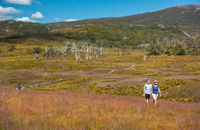 Portrait of a couple with mountains near Cradle Mountain