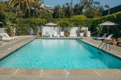 Outdoor pool area with pool lounges at Luxe Sunset Boulevard