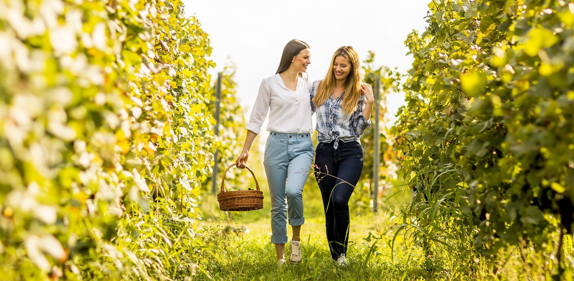 Girls walking in a vineyard