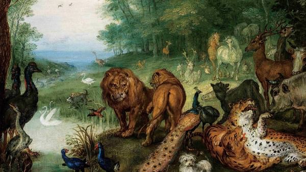 Jan Brueghel's art