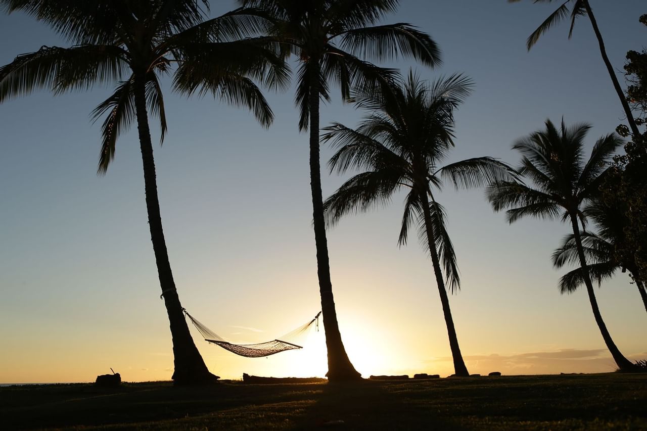 Hammock tied to palm trees at Waimea Plantation Cottages
