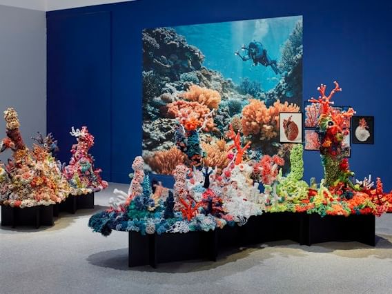 Ausstellung Expedition Weltmeere mit bunten Korallenmodellen und einem großen Ozeanposter.