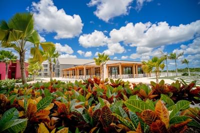 Tropical outdoor setting with a restaurant at The Hub Acunmeyda