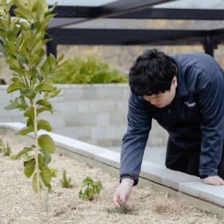 Dickson Village Apartments Communal Herb Garden