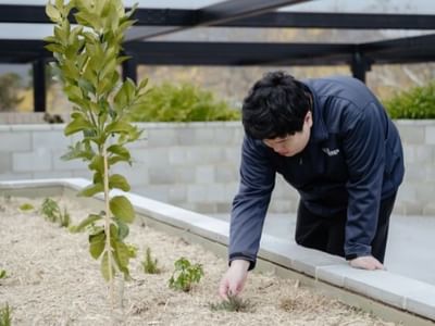 Dickson Village Apartments Communal Herb Garden