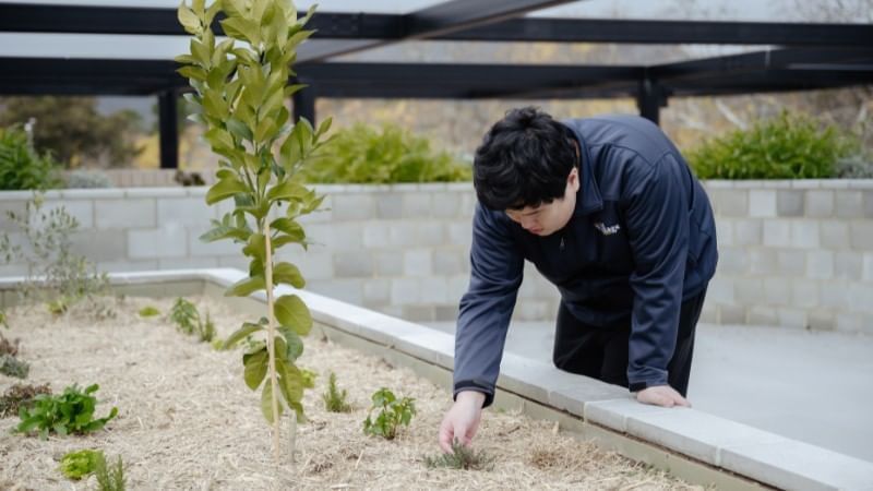 Dickson Village Apartments Communal Herb Garden