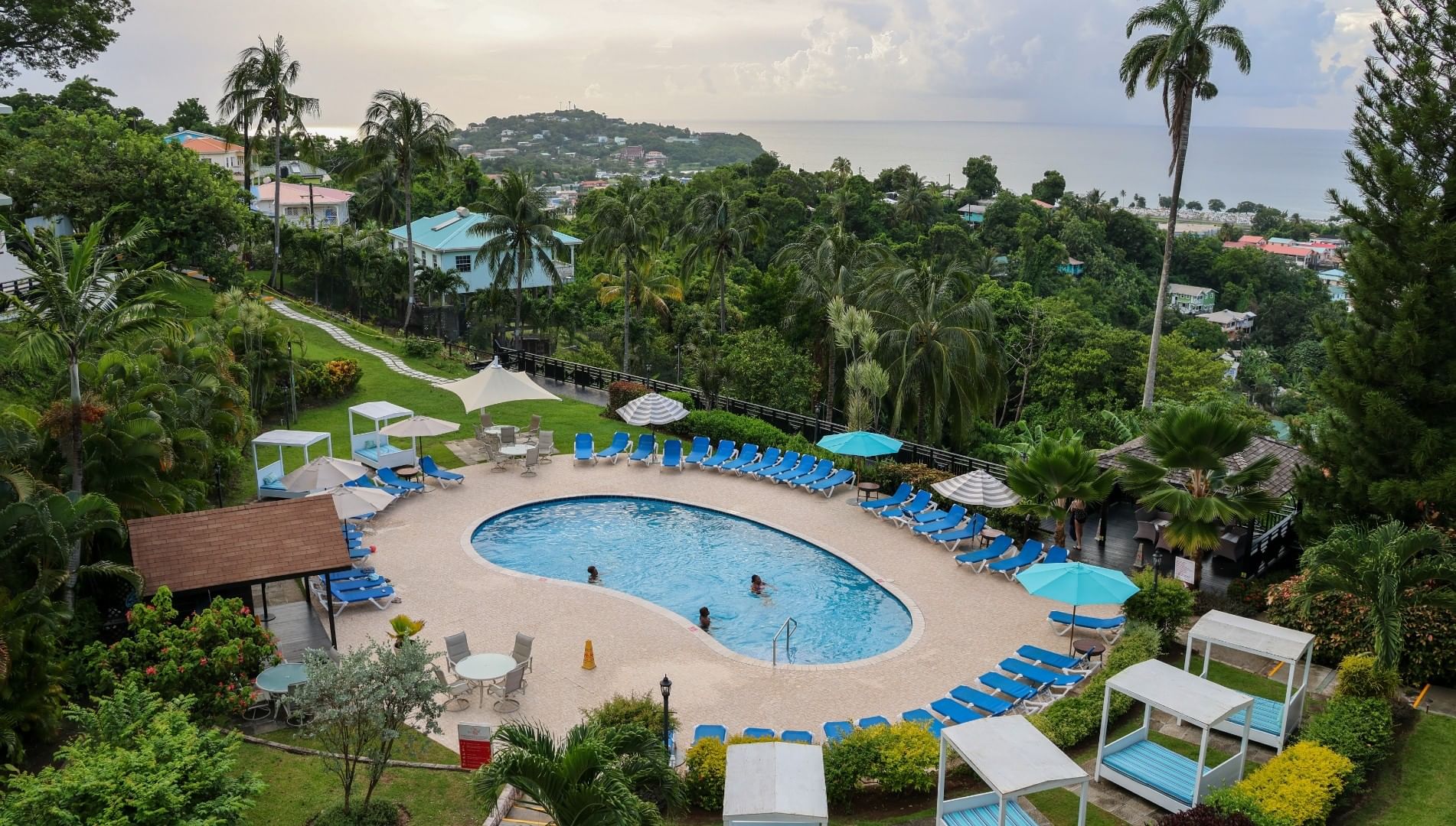 High-angle view of a kidney-shaped swimming pool surrounded by blue lounge chairs and tropical greenery at Bel Jou Hotel