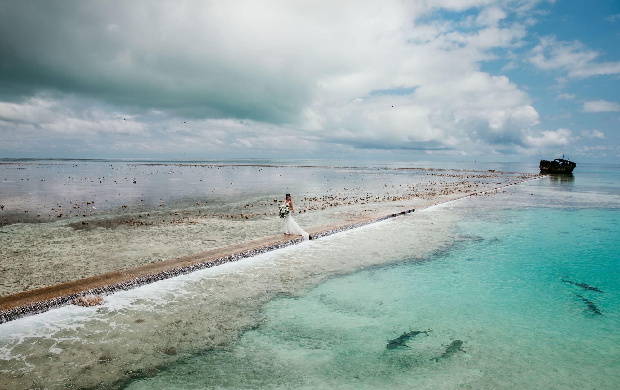 Island Weddings near Great Barrier Reef | Heron Island, image size:2000x1260