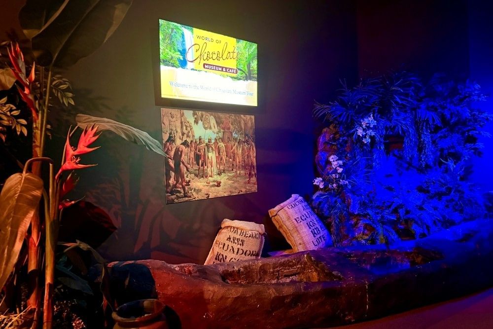 A dark room staged with faux tropical plants and a glowing screen welcoming guests to the World of Chocolate Museum and Cafe.