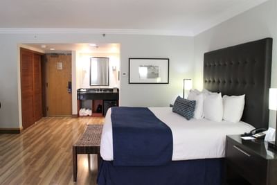 King bed with blue throw and tall padded headboard beside a vanity and entrance area in Junior Suite at Miami Lakes Hotel