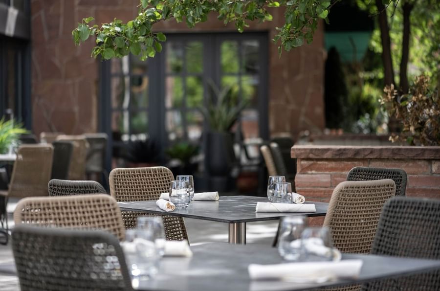 Woven chairs by tables with white linens under leafy green tree branches in Gattara Restaurant & Patio at Warwick Denver