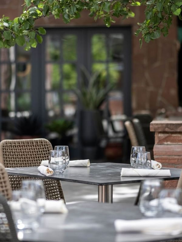 Woven chairs by tables with white linens under leafy green tree branches in Gattara Restaurant & Patio at Warwick Denver