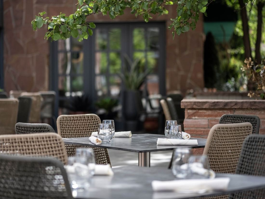 Woven chairs by tables with white linens under leafy green tree branches in Gattara Restaurant & Patio at Warwick Denver