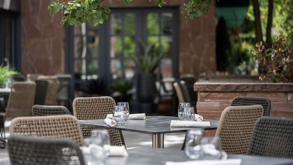 Woven chairs by tables with white linens under leafy green tree branches in Gattara Restaurant & Patio at Warwick Denver