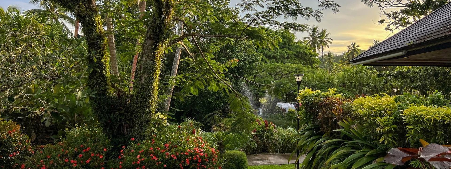 Lush garden view with tropical plants and trees at The Naviti Resort in Korolevu