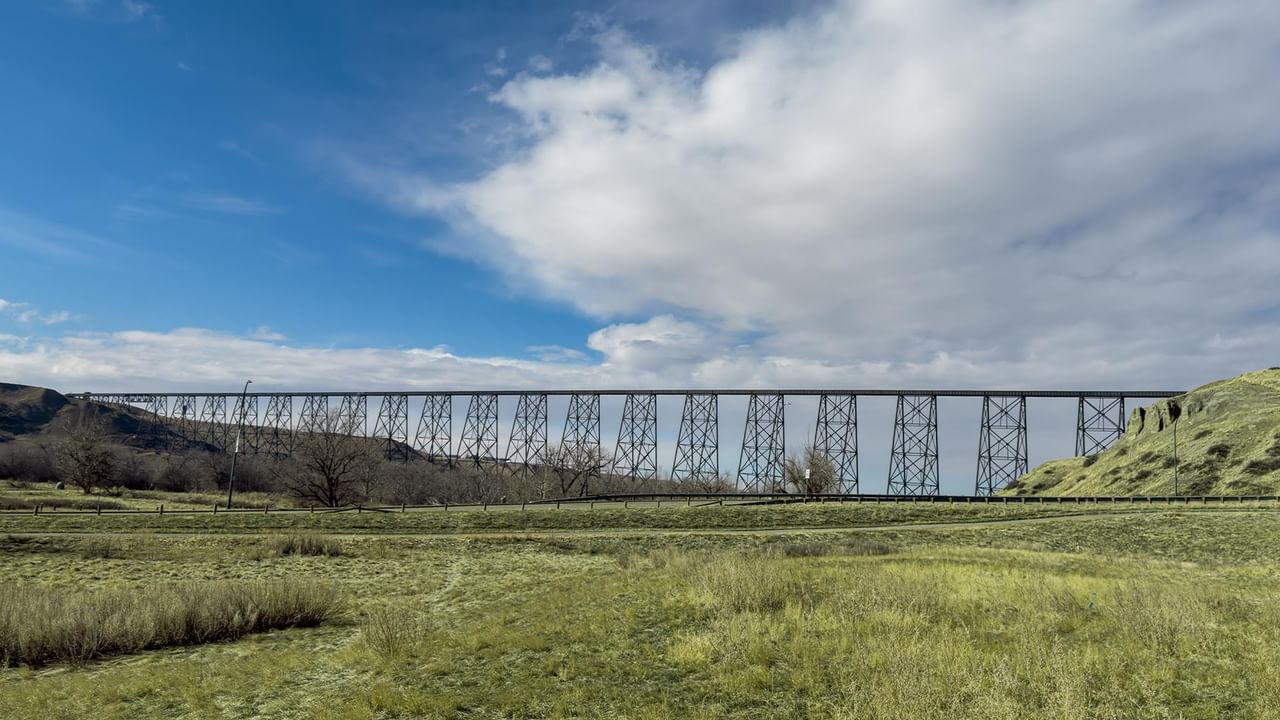 A wide view of the High Level Bridge over a green field.