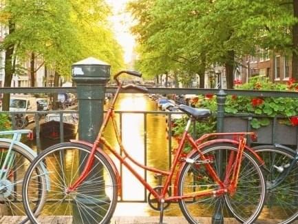 bike on fence