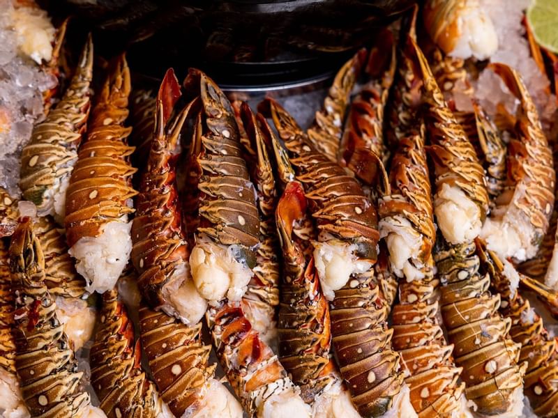 Lobster tails in Epicurean restaurant at Crown Towers Sydney