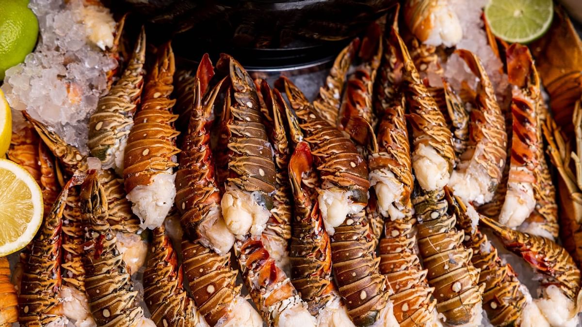 Lobster tails in Epicurean restaurant at Crown Towers Sydney