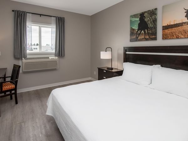 A room with a large bed, desk, chair, and artwork at Coast Innisfail Hotel.