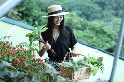 Woman plucking vegetables from the garden at Retreat Costa Rica