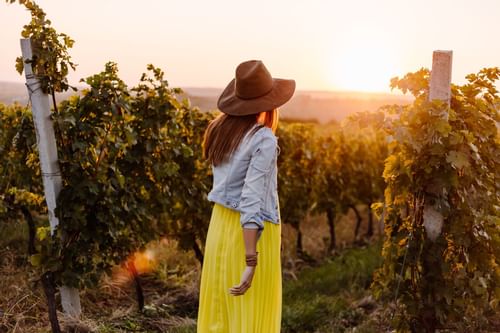 Woman in yellow dress walking through vineyard with sunset in ba